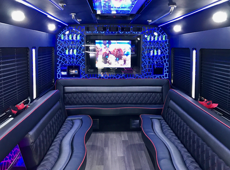 The 4 Best Things To Bring On A Party Bus Chicago Party